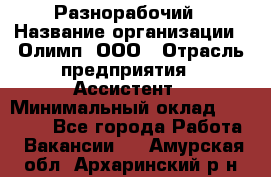 Разнорабочий › Название организации ­ Олимп, ООО › Отрасль предприятия ­ Ассистент › Минимальный оклад ­ 25 000 - Все города Работа » Вакансии   . Амурская обл.,Архаринский р-н